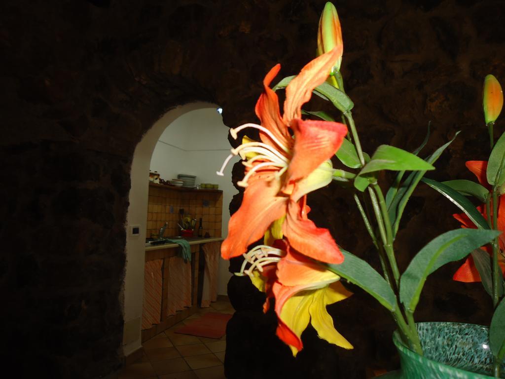 Agriturismo Zibibbodoro Scauri  Exterior foto