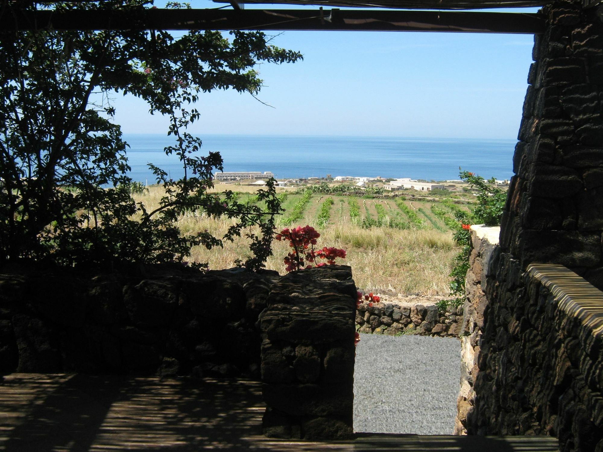 Agriturismo Zibibbodoro Scauri  Exterior foto
