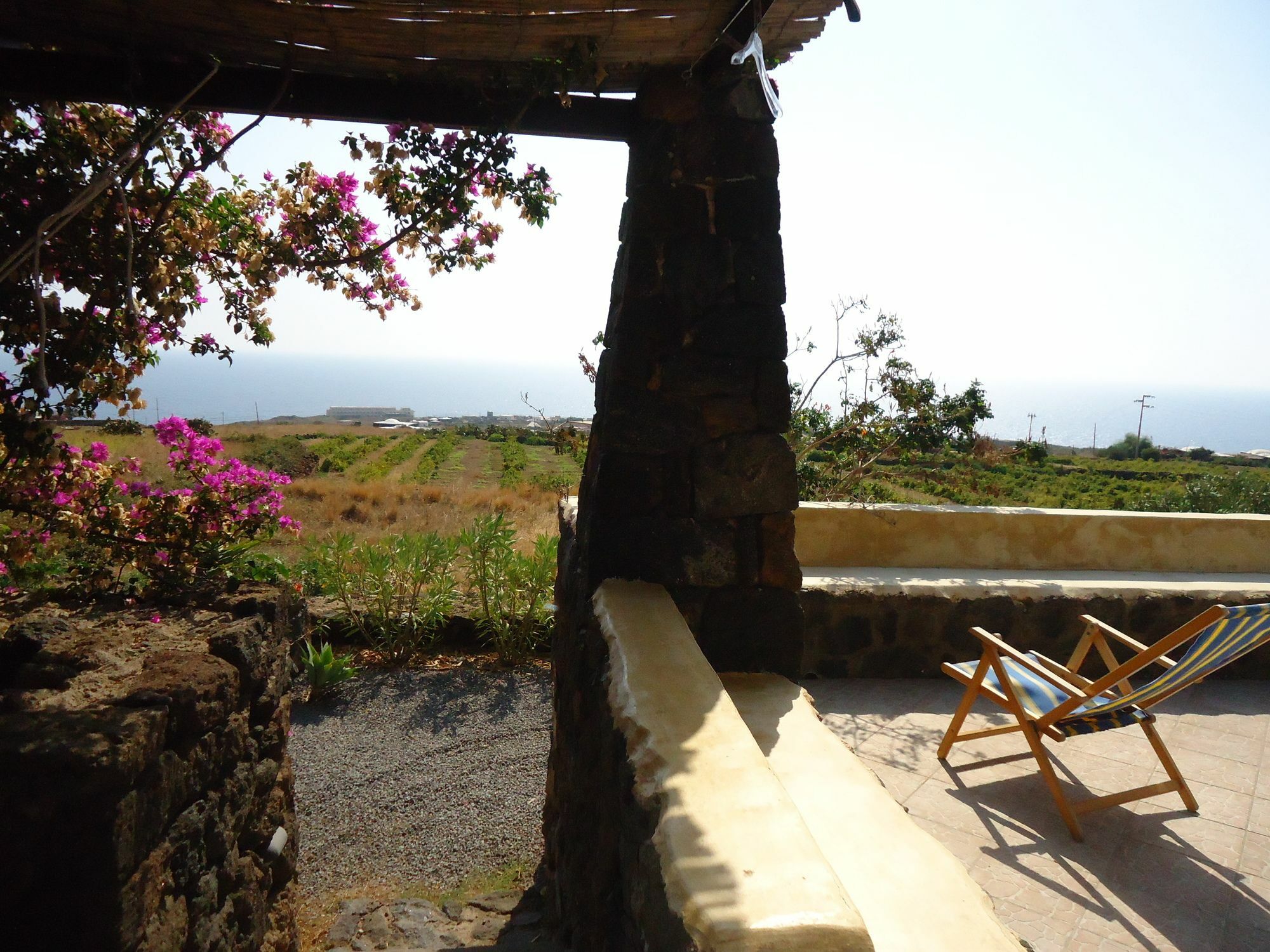 Agriturismo Zibibbodoro Scauri  Exterior foto